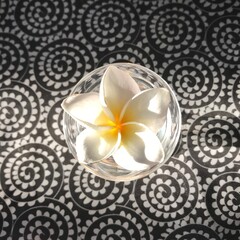 Fototapeta na wymiar Frangipani flower (plumeria) in a mini vase in a late-day light on a tablecloth.