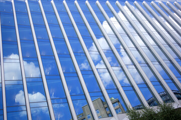 Office Tower with Cloud Reflection