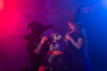 Fototapeta na wymiar Funny child girl and woman in witches costumes for Halloween with dog.