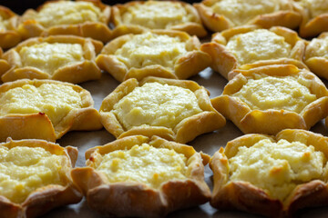 baked cheesecakes with cottage cheese on a baking sheet, aromatic homemade cakes