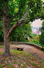 City View from Nature Park