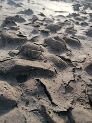 cracked earth