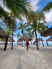 Palm Beach Aruba Caribbean, white long sandy beach with palm trees at Aruba Antilles, woman...