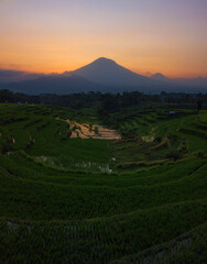 Drone photo of the sunrise over Indonesian terraced rice fields with mountains in the background in dramatic sky