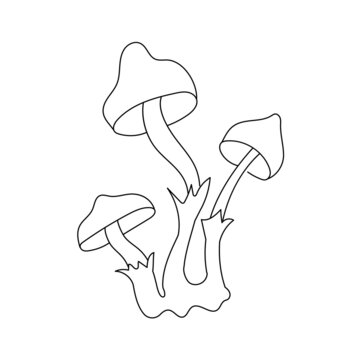 recommend clip art: Psychedelic Toadstools in line art stylet. Outline of magic Mushrooms on a white isolated background. Vector illustration for an Icon or any design