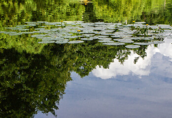 Staw Irydion w Złotym Potoku