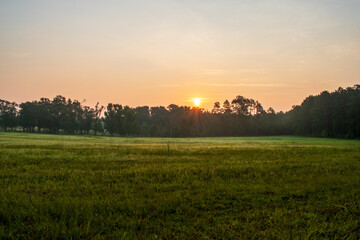sunrise in the field
