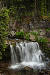 Fototapeta na wymiar Forest Falls