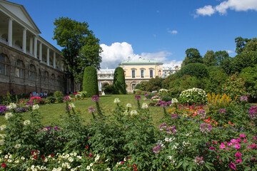 Fototapeta na wymiar the facade of the Cameron Gallery with antique columns and white flowers of hydrangea bushes on a sunny summer day in the Catherine Park in Tsarskoye selo Russia
