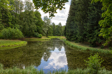 Fototapeta na wymiar Beautiful summer landscape-green trees with lush foliage on the shore of a pond with a mirror image in the water in the Catherine Park in Tsarskoye Selo