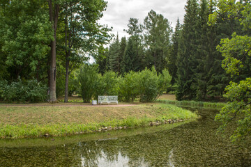 Beautiful summer landscape-green trees with lush foliage on the shore of a pond with a mirror image in the water in the Catherine Park in Tsarskoye Selo