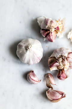 Garlic bulb