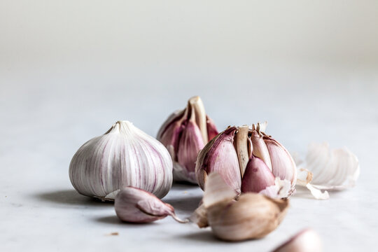 Garlic bulb