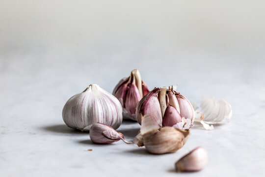 Garlic bulb