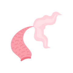 Obraz premium Pink mermaids fish tail, flat vector illustration isolated on white background.