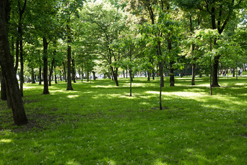Fototapeta na wymiar paths in the Park. spring square