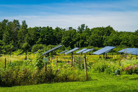 solar panels in community garden
