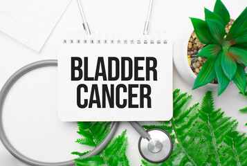 Bladder Cancer word on notebook,stethoscope and green plant