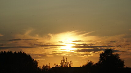 Fototapeta premium sunset over the field