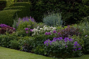 Cottage garden flowerbed with purple flowers and assorted lush plants