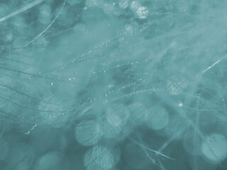 blurred bokeh minimalistic light . blue background .water drops 