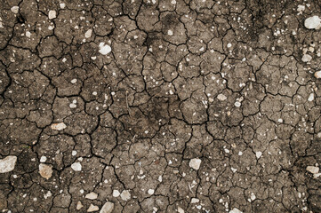 Dry brown soil with cracks