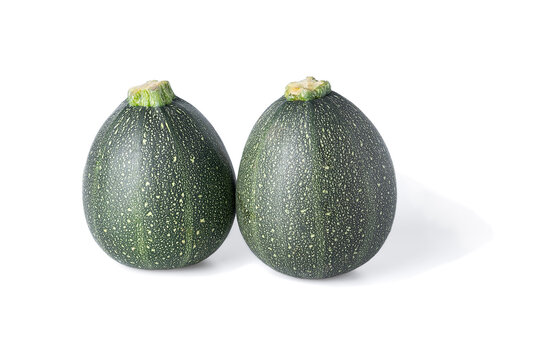 Two realistic looking globe or eight ball squash or zucchini or round courgette - cucurbita pepo - isolated white background