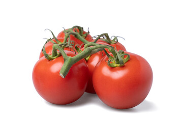 Realistic looking tomatoes isolated white background