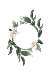 Watercolor hand drawn frame with citrus flowers and branches.