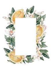 Watercolor hand drawn frame with lemons, citrus flowers and branches.
