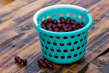 A blue plastic basket with a cherry on a wooden background.