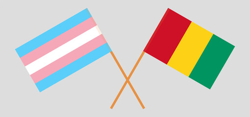 Crossed flags of transgender pride and Guinea. Official colors. Correct proportion