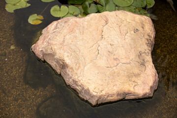 Stone in the water. Stone in the middle of the stream.