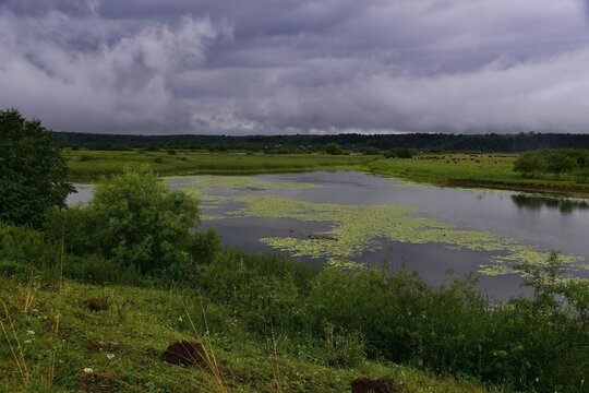 River oxbow during summer bad weather