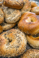 Close-up of freshly baked bagels with seeds on top.