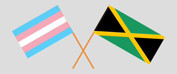 Crossed flags of transgender pride and Jamaica. Official colors. Correct proportion