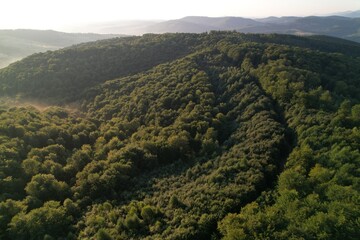 Fototapeta premium Summer panorama of Ukrainian mountain range. Beautiful summer scenery. Morning fog spreads on the mountain valley. Panoramic summer scene of Carpathian village. Amazing morning landscape of mountain. 