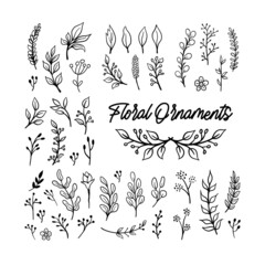 Floral graphic elements big vector doodle set. Flowers and plants hand drawn illustrations. Branches and leaves.