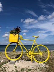 Old, yellow bike placed by the sea