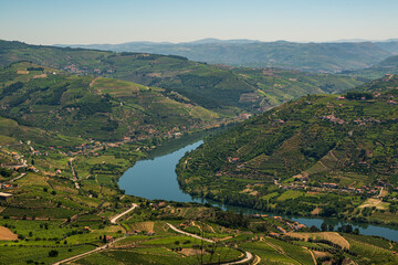 Scenic overview of the vineyards in the beautiful Douro river valley from 