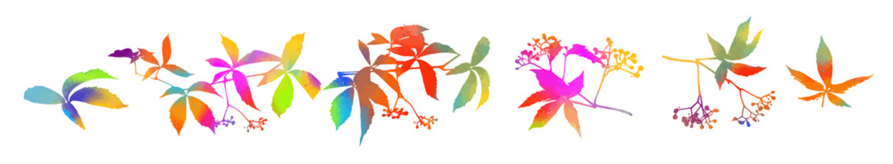 Set of multi-colored leaves. Vector illustration