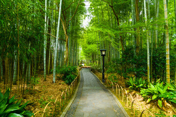 修善寺温泉の風景写真