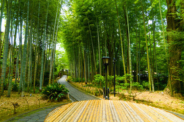修善寺温泉の風景写真