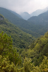 Fototapeta na wymiar Valley of Mt Olympus, Greece