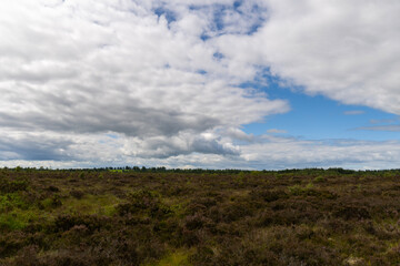 clouds over the field