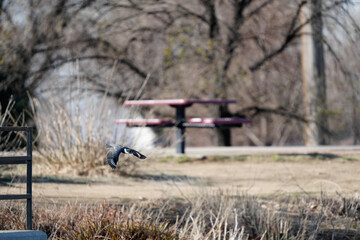 person riding a bicycle
