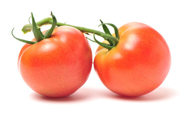fresh tomato isolated on white background