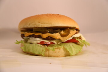 High quality, sample and stock fast food photography including burgers, fries,steaks e.t.c. Best for small business restraunts. For more professional fast food photography, visit my portfolio. Thanks