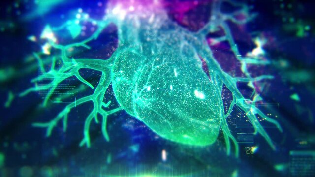 Colorful Human Heart animation with infographics and particles. Plexus. Futuristic and Artistic concept of human anatomy. 4K