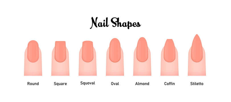 Various nail shapes vector illustration set